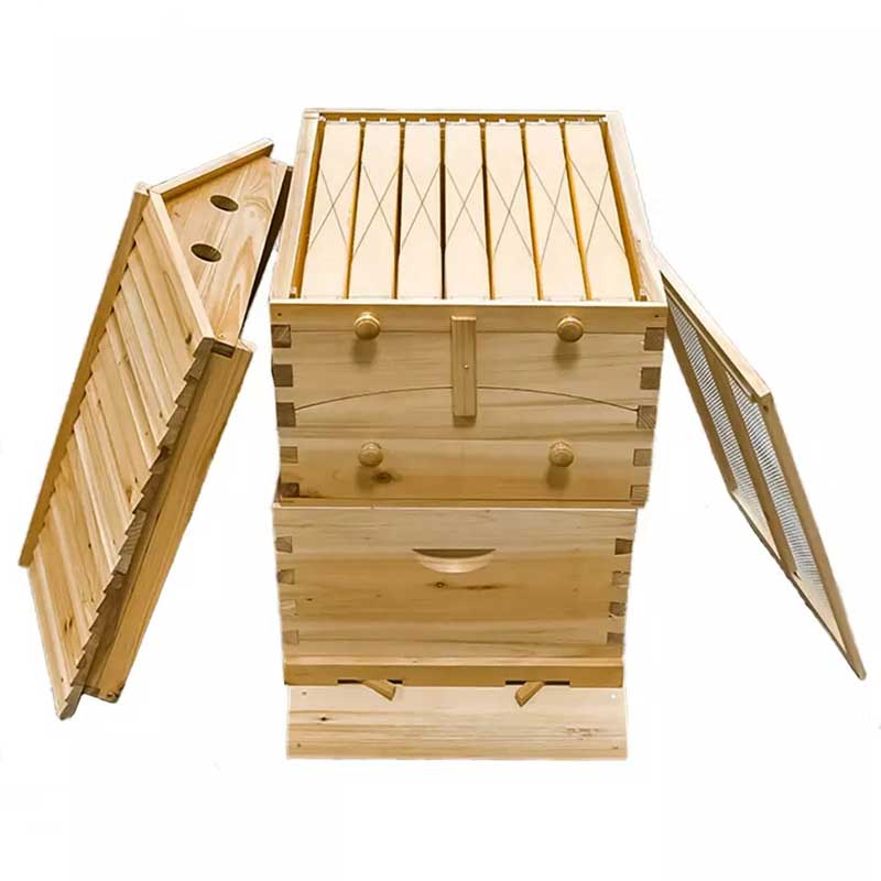 Chinese Automatic Self-Flowing Honey Bee Hive Frames Set Apiculture Equipment Beekeeping Beehive Tools Supply Colmena Apicultura