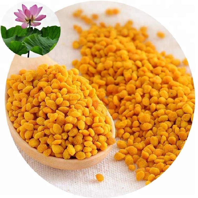 pure lotus pollen