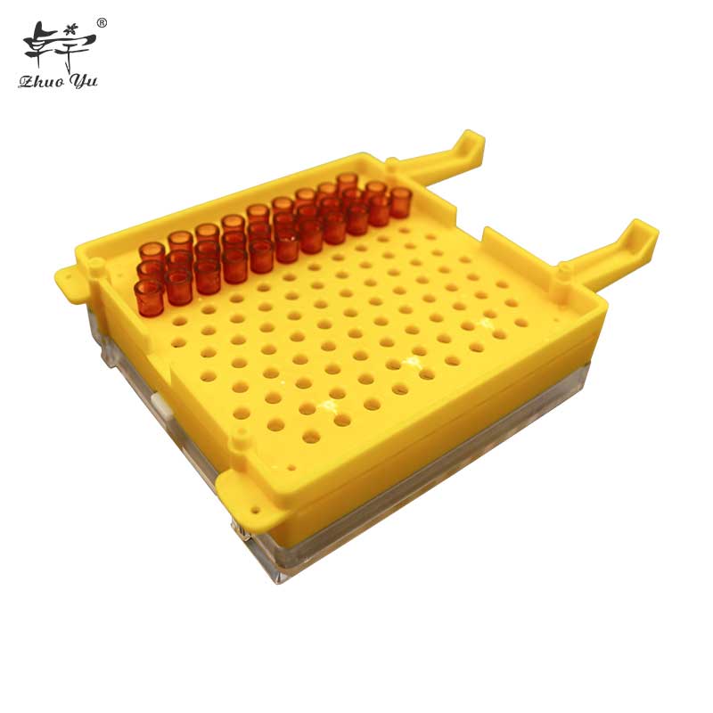 Bee Queen Rearing Kit System