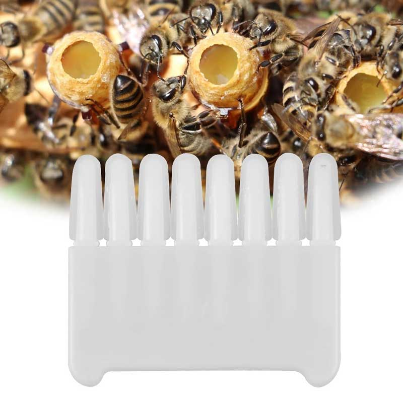 Bee Grafting Pen Beekeeping Royal Jelly Scraper Pen Queen Rearing Graft Bee Tools Supplies Bee Beekeeping Tool Take Pulp