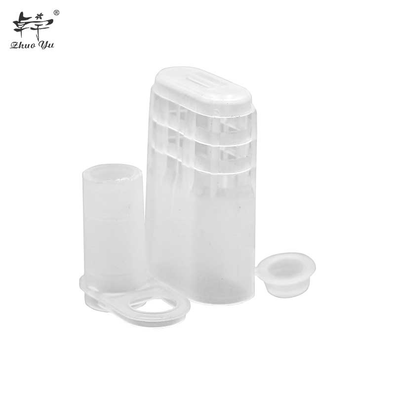 Export White Bee Queen Cage