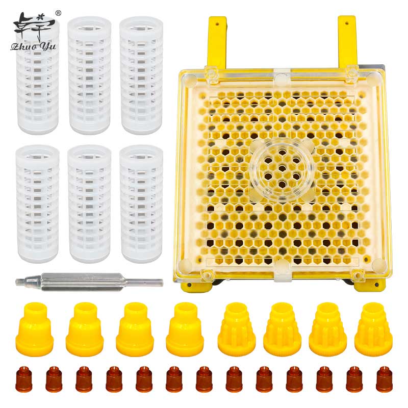 Bee Queen Rearing Kit System