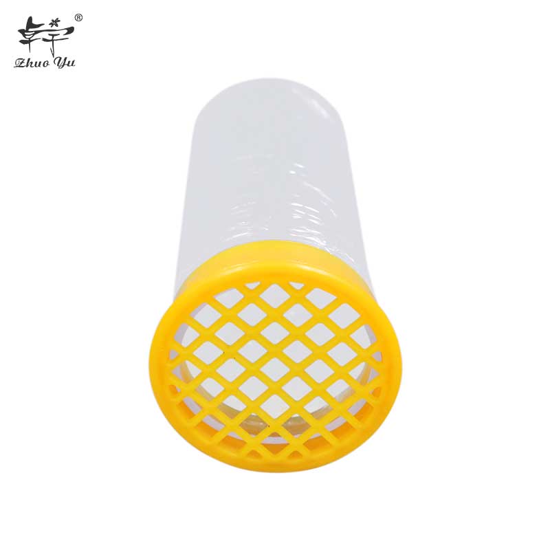 Bee Queen Mark Bottle Transparent Plastic Marking Tube Environment Security Beekeeping Tools Suitable for Beekeeper Garden Catch