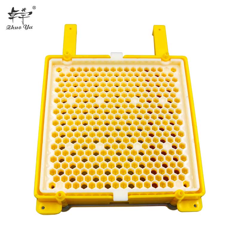 Complete Bee Queen Rearing Kit System Cultivating Box Beekeeping Catcher Tools Cell Cups Plastic Cage Supplies