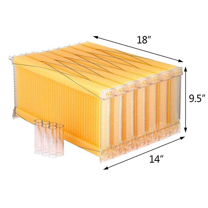 Chinese Automatic Self-Flowing Honey Bee Hive Frames Set Apiculture Equipment Beekeeping Beehive Tools Supply Colmena Apicultura