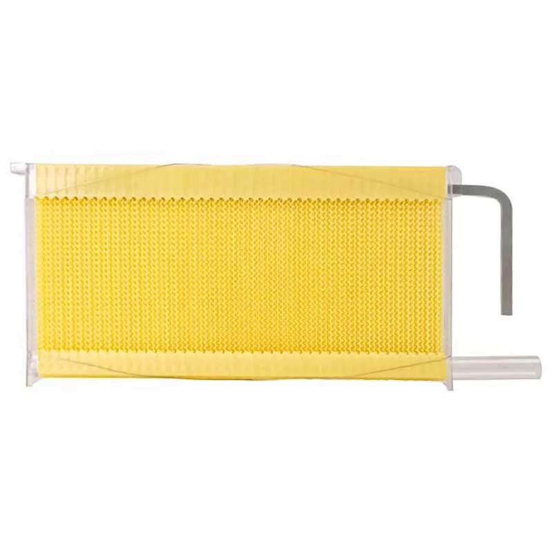 Chinese Automatic Self-Flowing Honey Bee Hive Frames Set Apiculture Equipment Beekeeping Beehive Tools Supply Colmena Apicultura